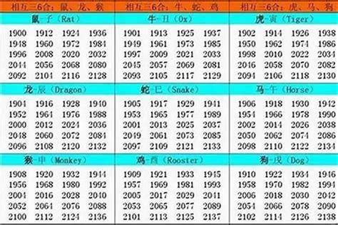 木狗命|1994年出生属什么生肖 1994年属狗是什么命